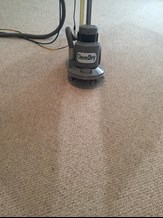 Chem-Dry Carpet Cleaning